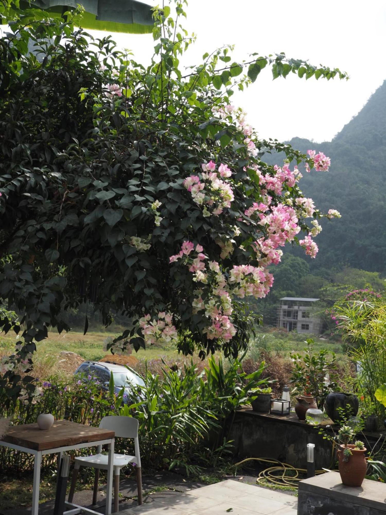 Yangshuo Hillside Homestay Exterior foto