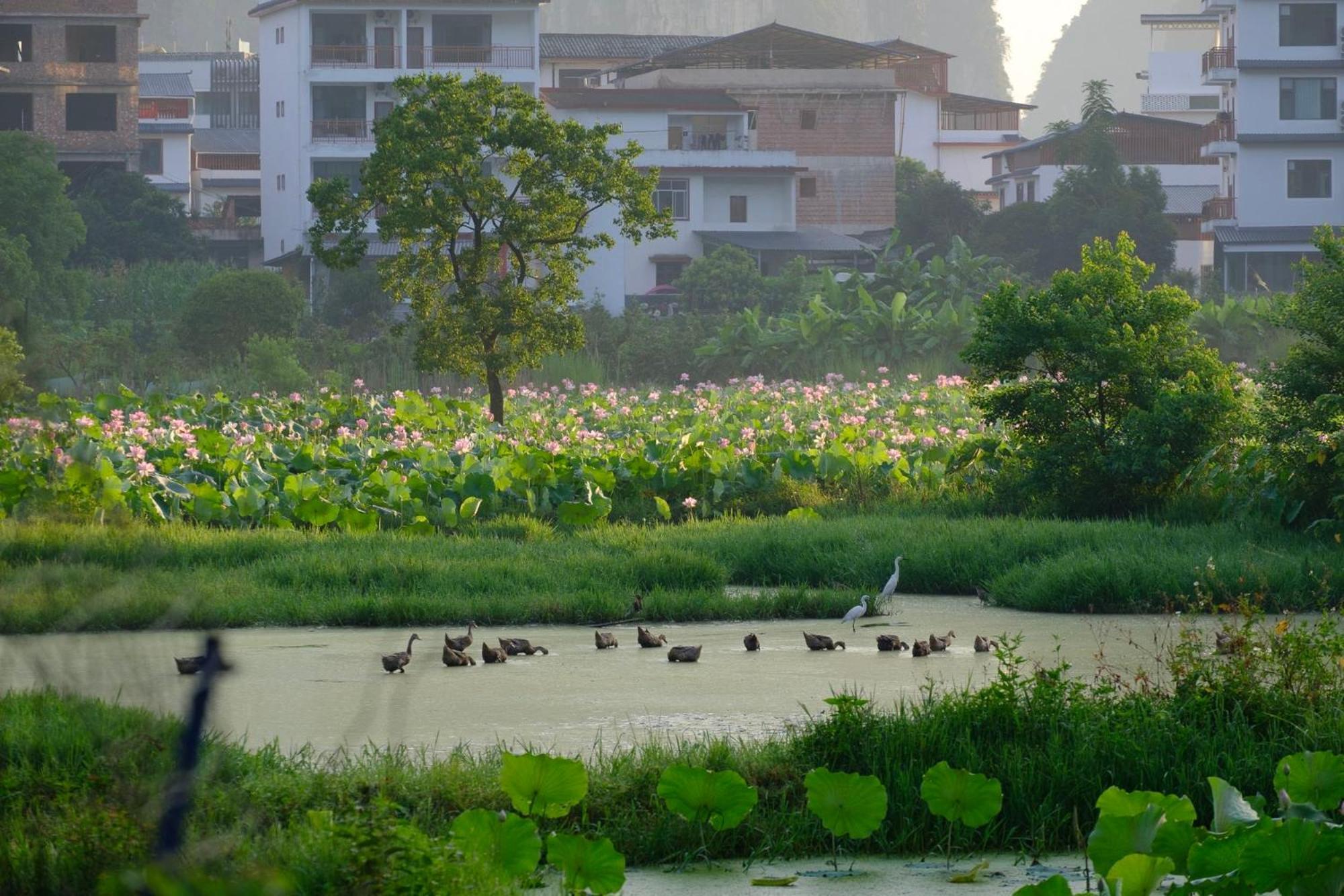 Yangshuo Hillside Homestay Exterior foto