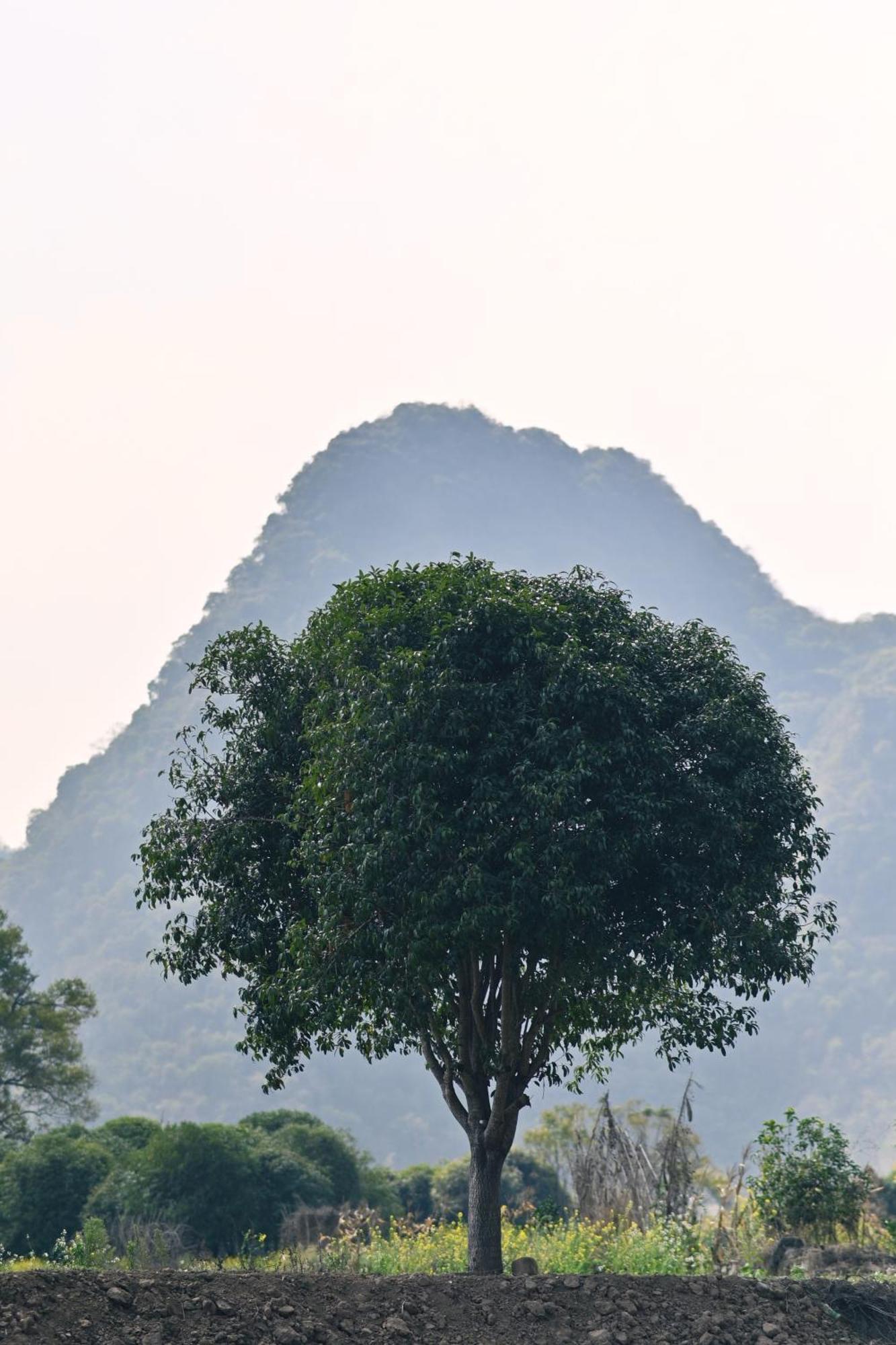 Yangshuo Hillside Homestay Exterior foto