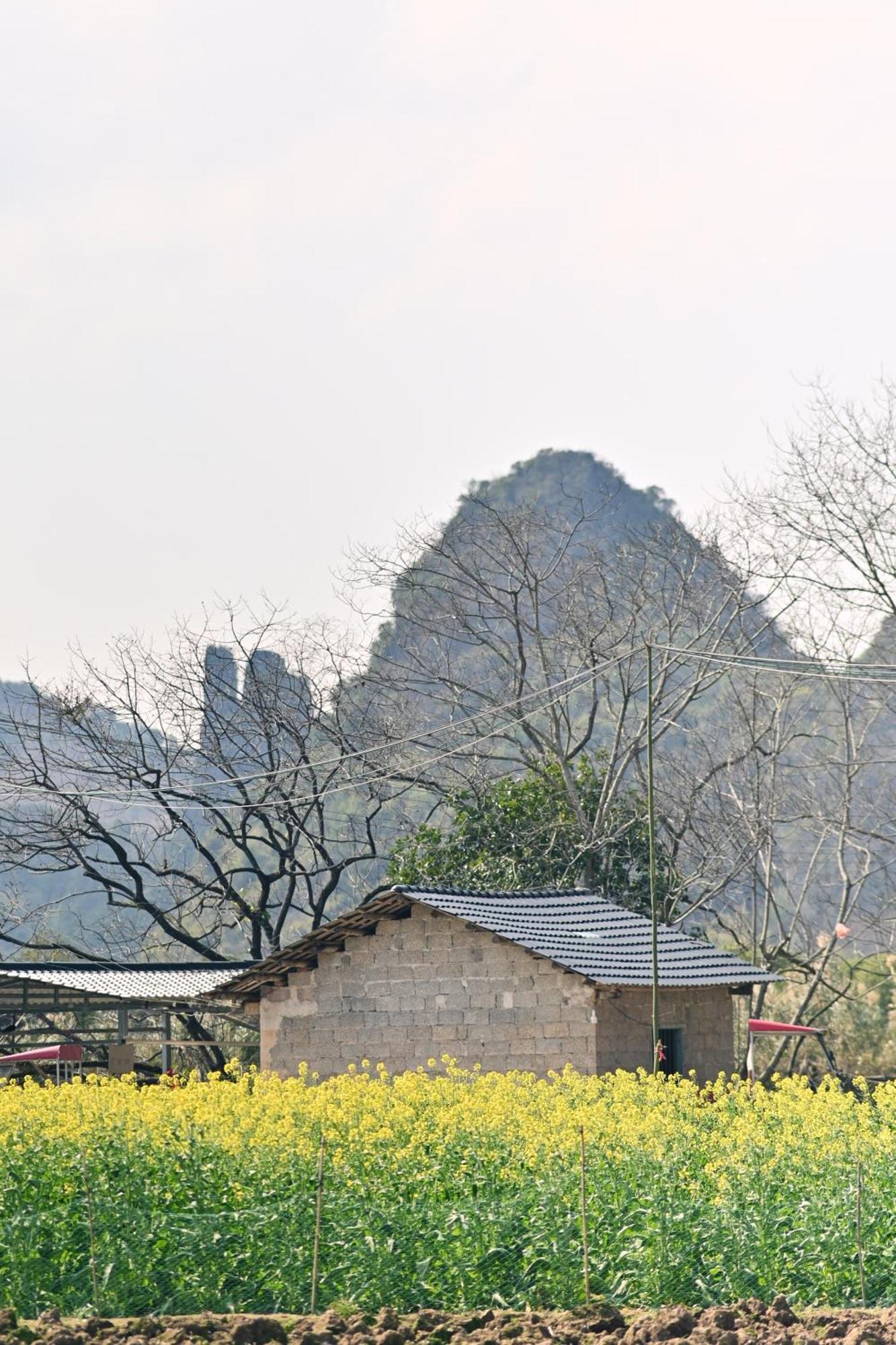 Yangshuo Hillside Homestay Exterior foto